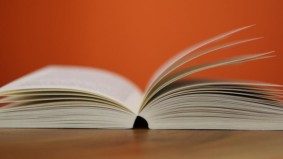 Lenke til artikkel: Informasjon fra Udir
